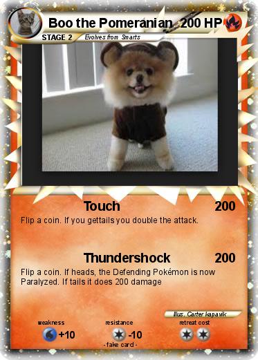 Pokemon Boo the Pomeranian