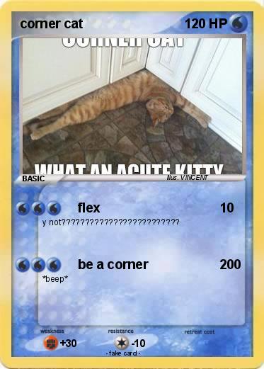 Pokemon corner cat