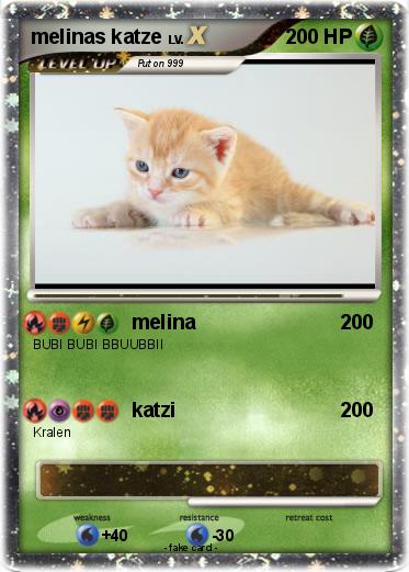 Pokemon melinas katze