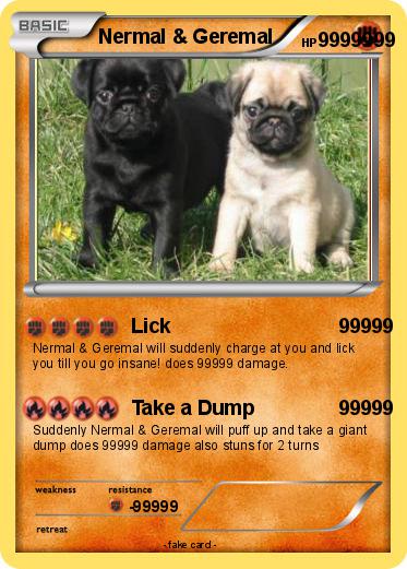 Pokemon Nermal & Geremal