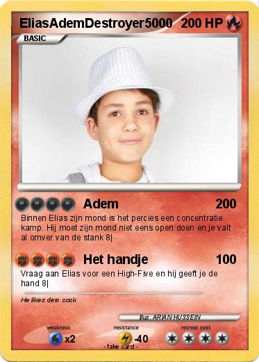 Pokemon EliasAdemDestroyer5000