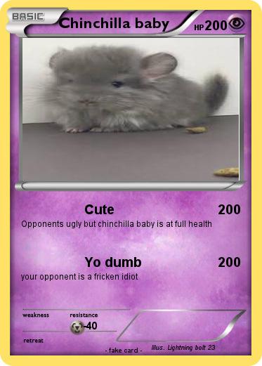 Pokemon Chinchilla baby