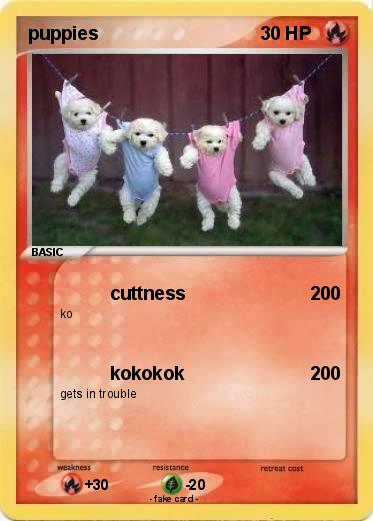 Pokemon puppies Pokemon puppies
