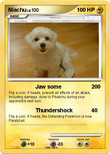 Pokemon Niachu