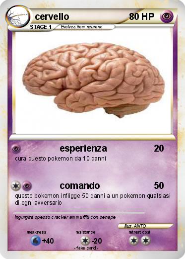 Pokemon cervello