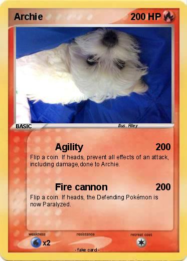Pokemon Archie