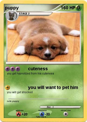 Pokemon puppy