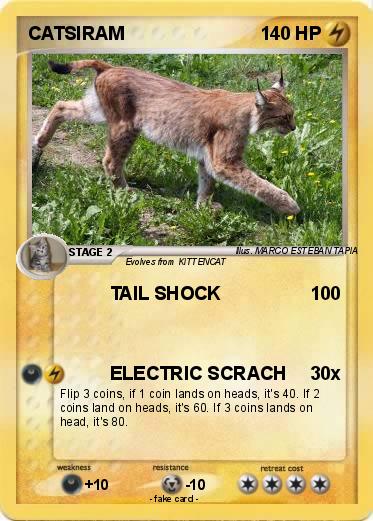 Pokemon CATSIRAM