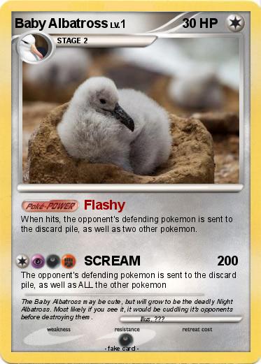 Pokemon Baby Albatross