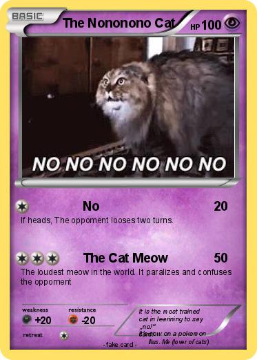 Pokemon The Nononono Cat
