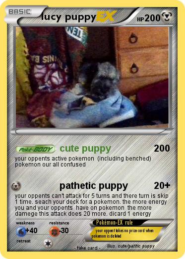 Pokemon lucy puppy