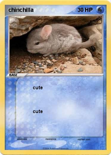Pokemon chinchilla