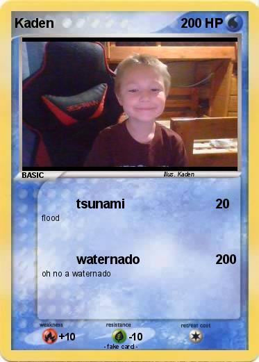 Pokemon Kaden