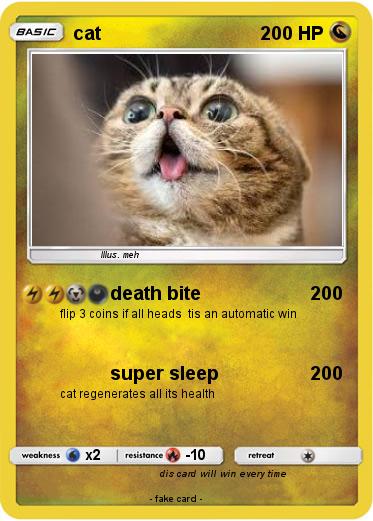 Pokemon cat