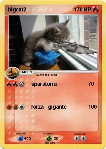 Pokemon bigcat2