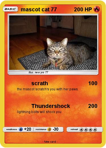 Pokemon mascot cat 77