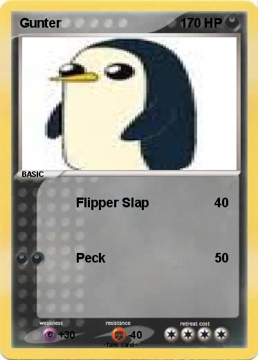 Pokemon Gunter