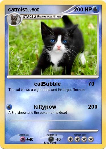 Pokemon catmist