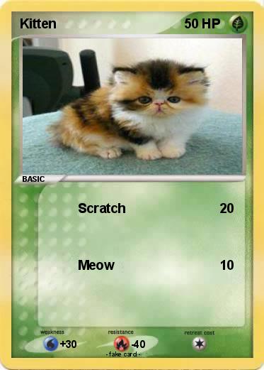 Pokemon Kitten