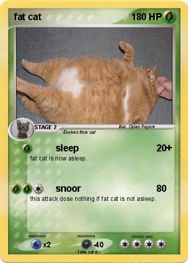 Pokemon fat cat