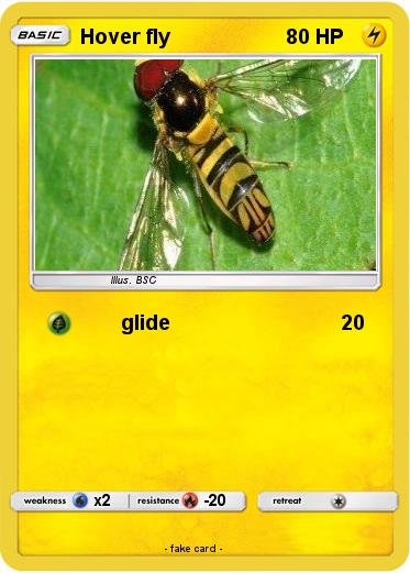 Pokemon Hover fly