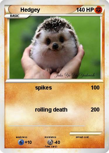 Pokemon Hedgey