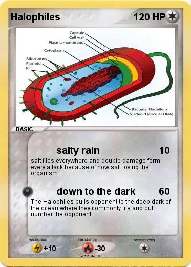 Pokemon Halophiles