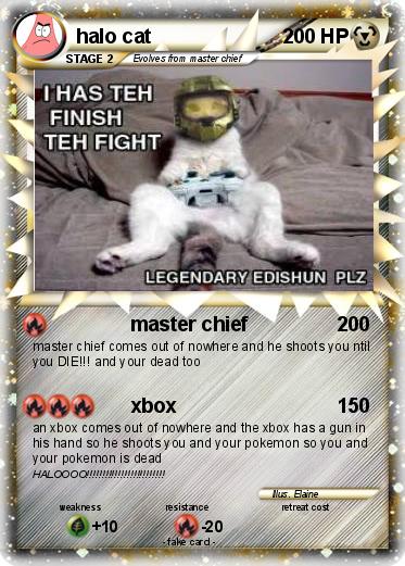 Pokemon halo cat