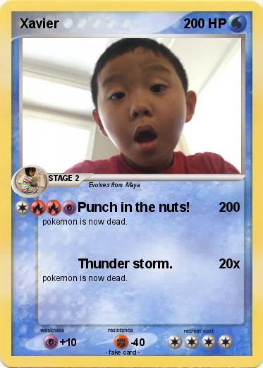 Pokemon Xavier