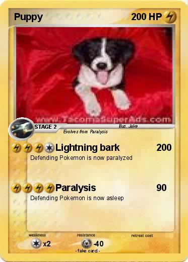 Pokemon Puppy