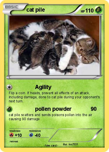 Pokemon cat pile