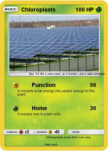 Pokemon Chloroplasts