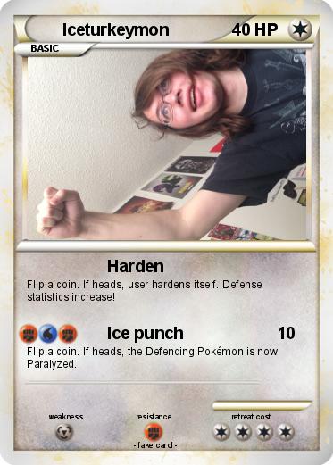 Pokemon Iceturkeymon