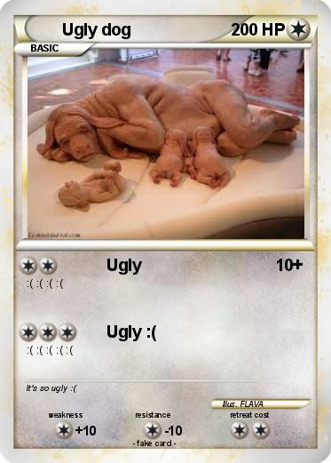 Pokemon Ugly dog