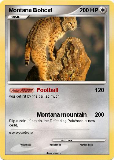 Pokemon Montana Bobcat