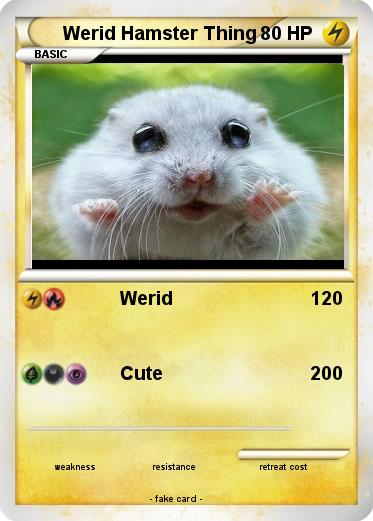 Pokemon Werid Hamster Thing