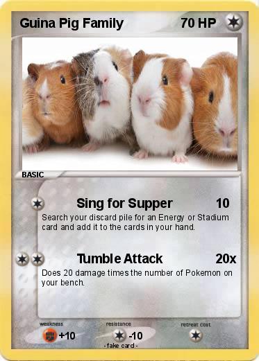 Pokemon Guina Pig Family