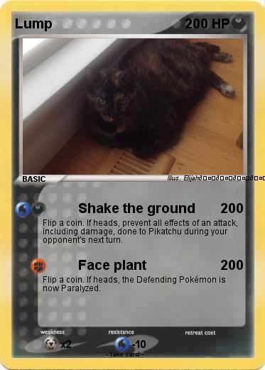 Pokemon Lump