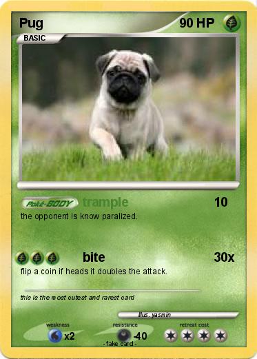 Pokemon Pug