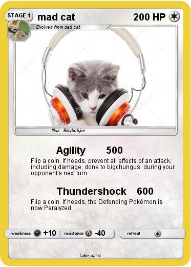 Pokemon mad cat
