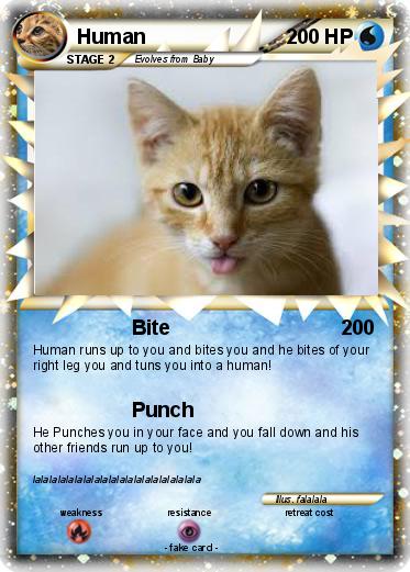 Pokemon Human
