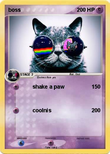 Pokemon boss