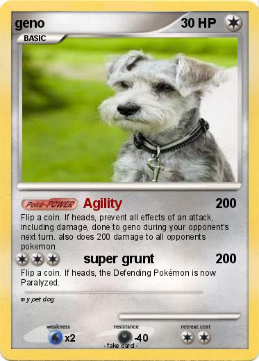 Pokemon geno