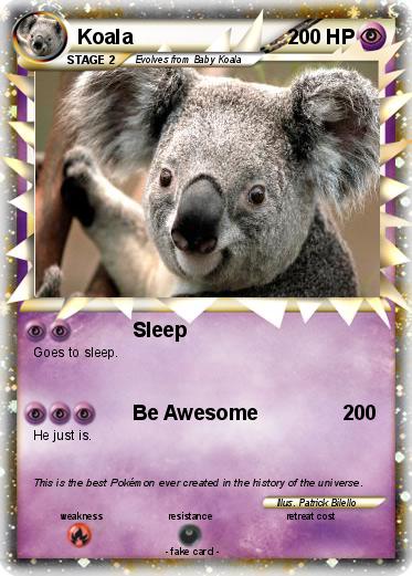 Pokemon Koala