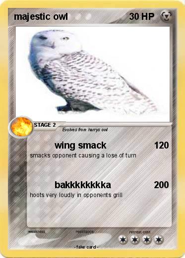 Pokemon majestic owl
