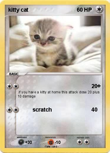 Pokemon kitty cat