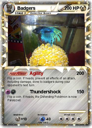 Pokemon Badgers