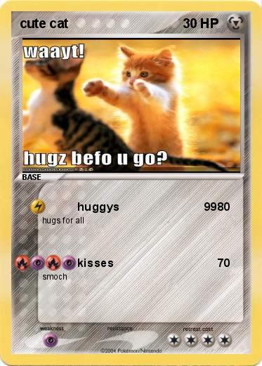 Pokemon cute cat