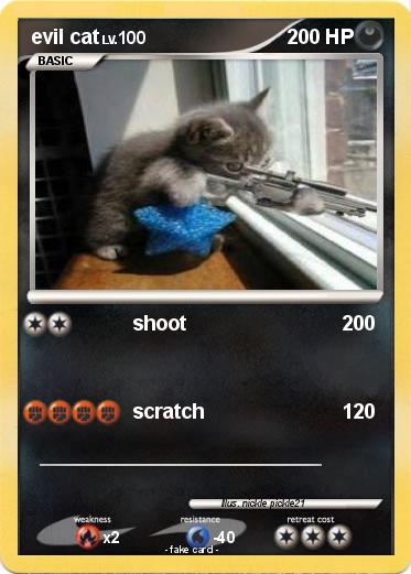 Pokemon evil cat