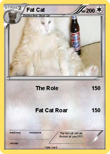 Pokemon Fat Cat